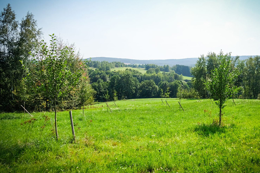Dekoratives Bild