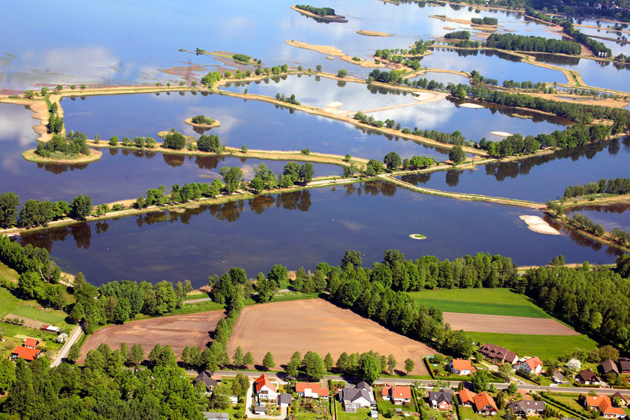 Dekoratives Bild